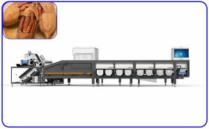Wholesale Accurate Peanut Grading Sorting Machine 0.8 - 1.2 T/H 8 Channel from china suppliers