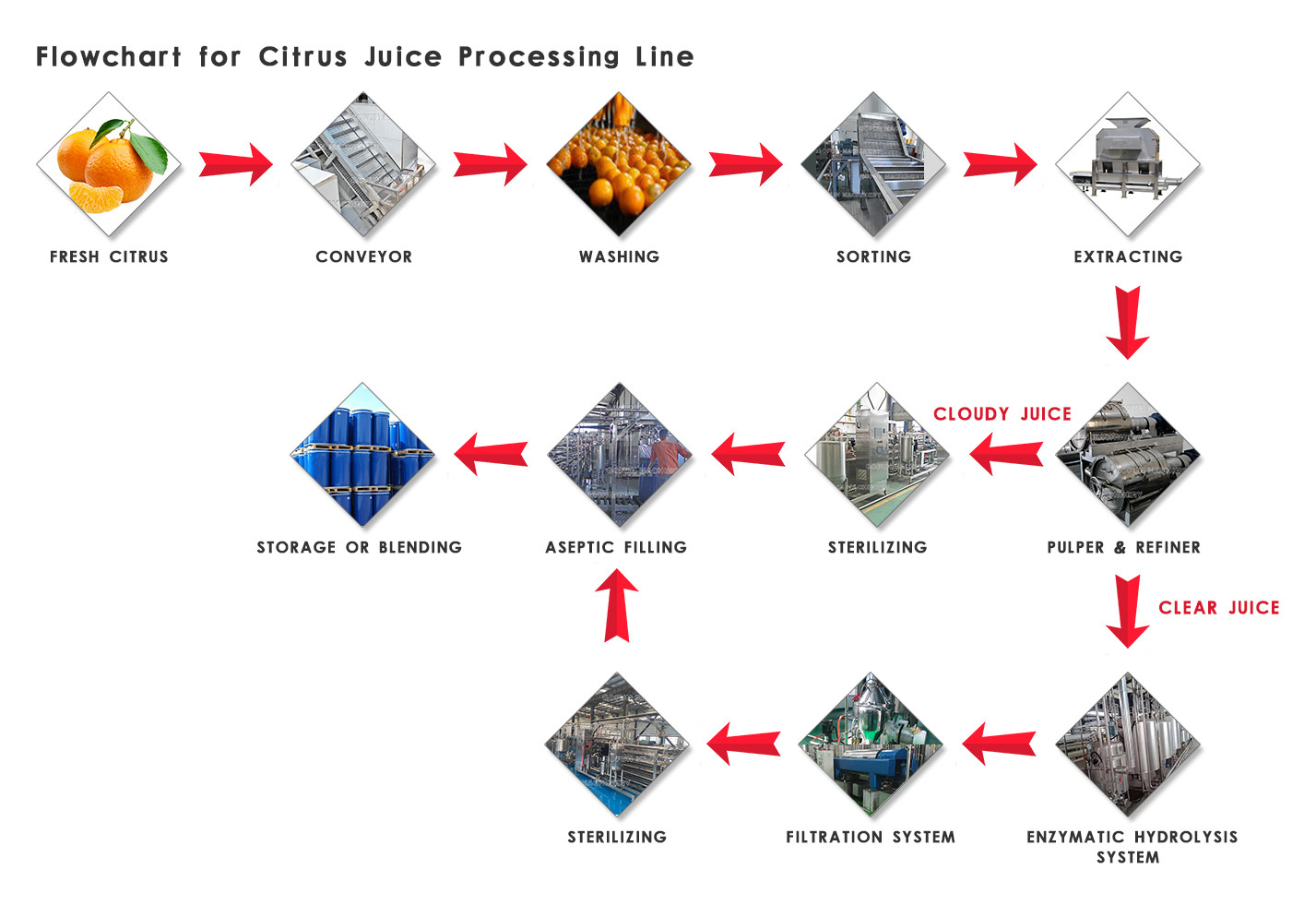 One-stop Solution For Customized Lemon Beverage Processing And Production Machines