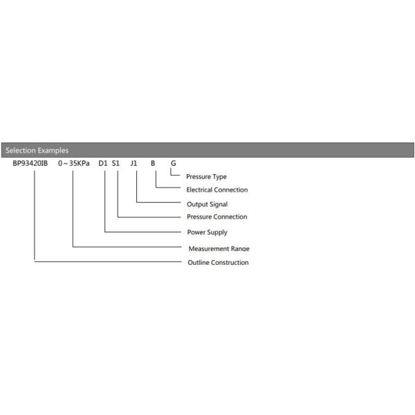 Wide Measuring Range Industrial Pressure Sensor With Diverse Pressure Interface Forms Sensor