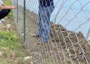Wholesale Galvanized Square Chain Link Fencing Mesh 0.5m-4m Free Samples Available from china suppliers