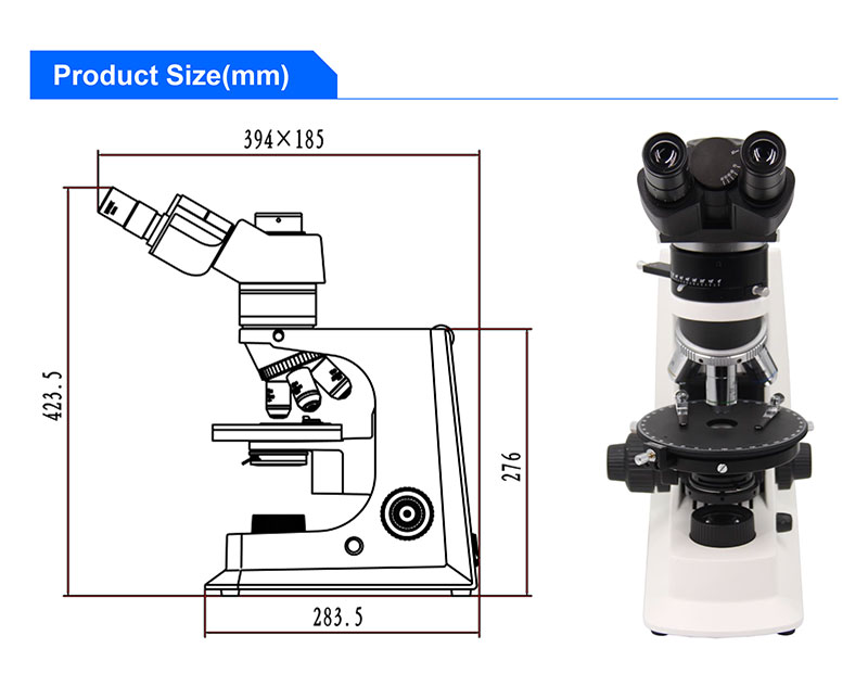 Trinocular Polarizing Light Microscope
