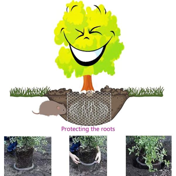 Size Customized Gopher Wire Baskets , Gopher Baskets For Fruit Trees