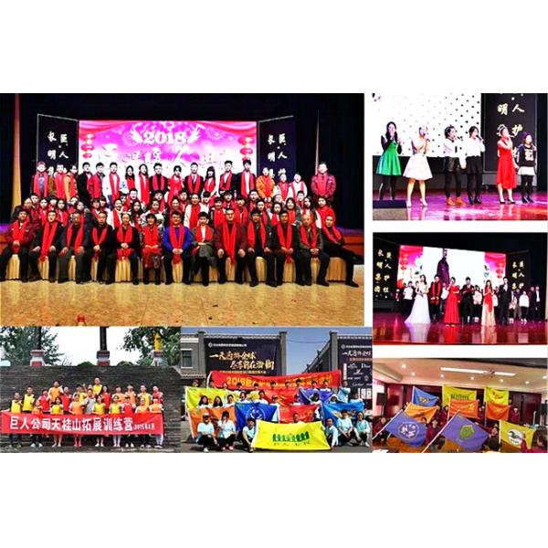 1200mm Tall Steel Security Fencing Galvanised D Pale