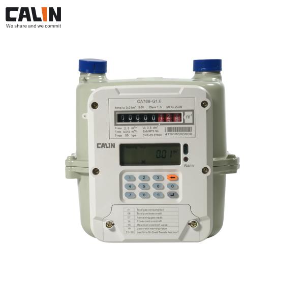 Quality STS Keypad Prepaid Gas Meter and LoraWAN Solution for sale