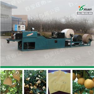 China Three layer fruit protection paper bag making machine on sale