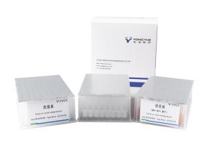 Wholesale Lab Use Pre Filled Nucleic Acid Extraction Purification Detection Kits from china suppliers