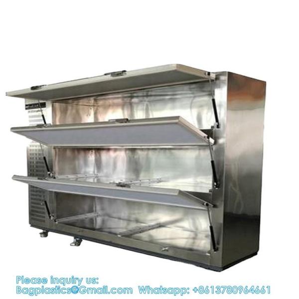 1 To 9 Body Morgue Fridge Corpse Cold Storage Chamber Dead Body Refrigerator With German Compressor