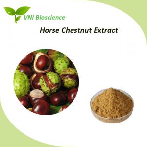 Wholesale Natural Horse Chestnut Extract Aescin / Aesculus Hippocastanum Extract from china suppliers