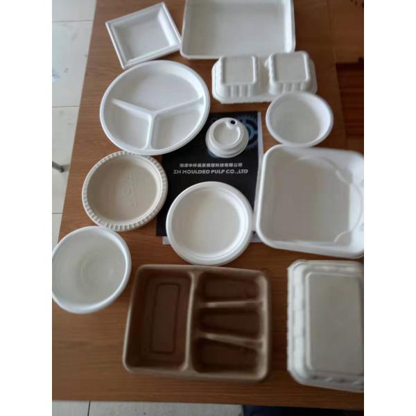 Fully Automatic Pulp Molding Tableware Machine 380v Disposable Tableware Making