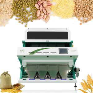 Wholesale Peeled Peanuts Nuts Color Sorter With CCD LED Automatically from china suppliers