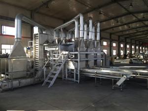 China Walnut huller line / walnut processing line on sale