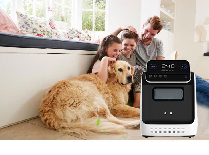 Low Price Factory Portable Medical Oxygen Concentrator 10litar oxygen-concentrator medical grade