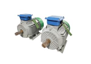 China Low Torque Permanent Magnet Power Generator Rated Rotate Speed 20rpm-3000rpm on sale