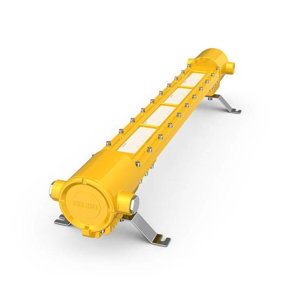 Quality DL618 LED Explosion-Proof Light Corrosion-Resistant AC110-240V Input Voltage for sale
