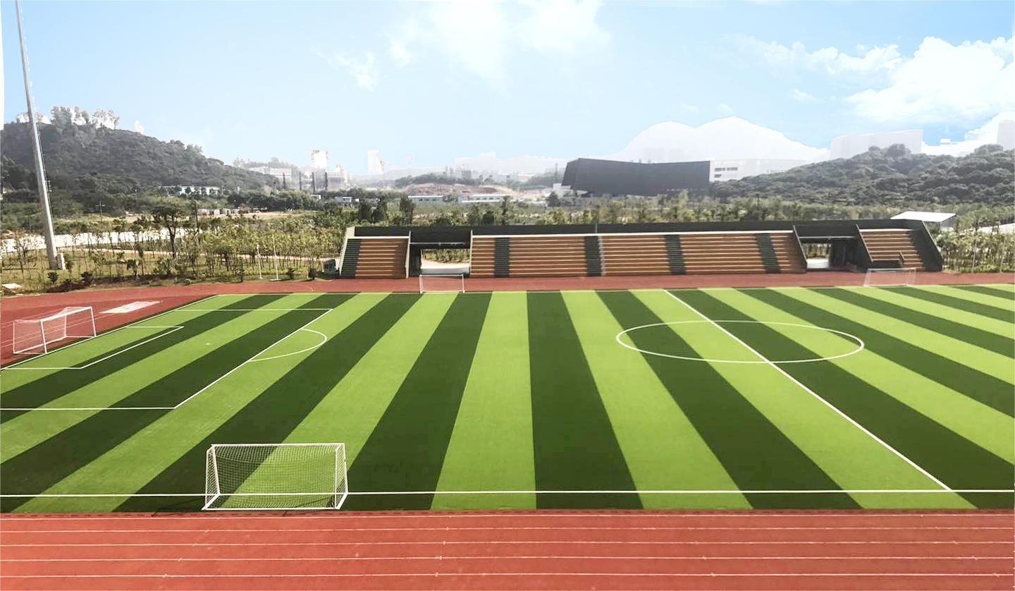 Best Price Vibrant stable TPE / ETPR Crumb Rubber Infill for Artificial Turf Infill
