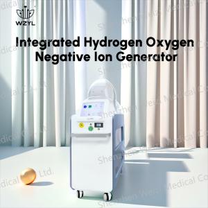 Wholesale 7L/min Clinic Negative Hydrogen Oxygen Ion Generator Improves Blood Circulation WEIZI from china suppliers