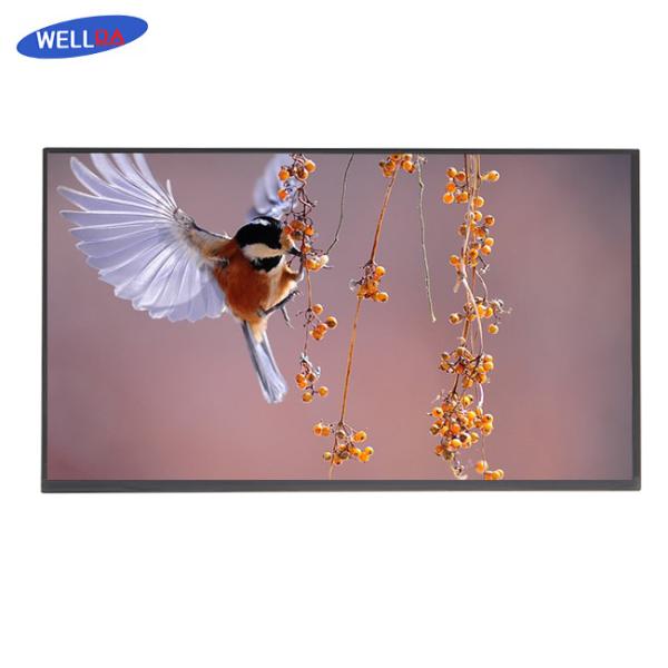 Quality 13.3 Inch TFT Display Module High Resolution with eDP1.2 Interface for sale