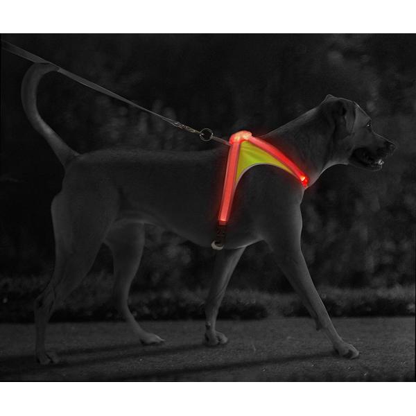 Nylon Flashing LED Dog Harness , Lighted Dog Harness With Rainproof Function