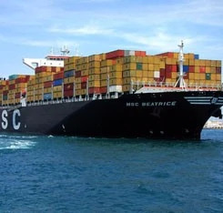 Stainless Steel roller conveyor manufacturing Online support for Conveyor Belt System