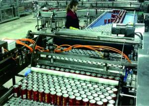 Pushing Type Automatic Palletizer Machine Cage Loading / Unloading Equipment