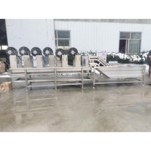 Fruit and vegetable sifter vibrates sifting kiwi, blueberry cherry tomato potato orange lemon sorting machine