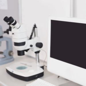 Wholesale Quality FDA Lab Certification NEMKO Sgs Lab Testing Third-party authentication service from china suppliers