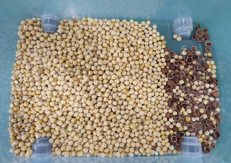 Peeled Peanuts Nuts Color Sorter With CCD LED Automatically