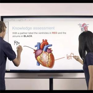 Wholesale 75 Inch LCD Interactive Smart Board Touch Digital Whiteboards Interactive Monitor Display Screen from china suppliers