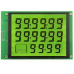 China LCD Manufacturer Customized Segment COB HT1621 DP1621 IC SPI MUC Interface