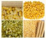 Professional automated high quality operation circulating lyophilizer machine