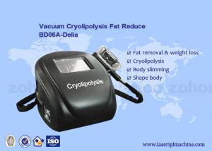 Wholesale Portable cryolipolysis fat freeze home cryolipolysis liposuction machine from china suppliers