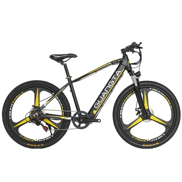 750W 500 Watt Electric Bike Electric Mountain Bike With Rainproof Ebike LCD Display Showing E Message