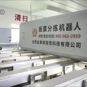 Wholesale AI Powered High Accuracy Chestnut Sorting Machine with Capacity 2.3-3.3Tons/Hour : Smart Selection, Quality Leap from china suppliers