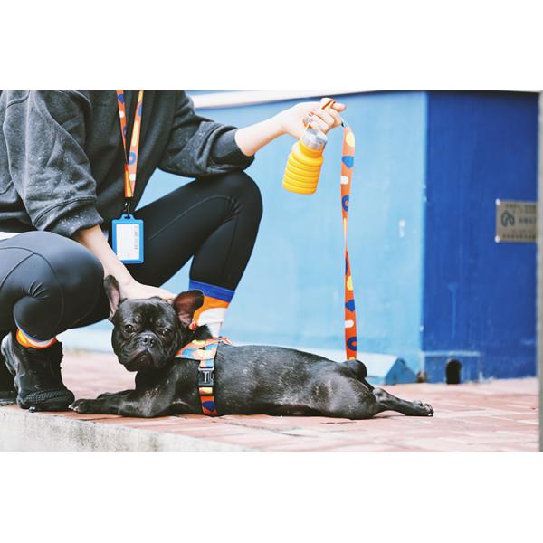 Fully Adjustable Dog Harness Soft Mesh Puppy Harness Summer Pet Walking For Small Medium