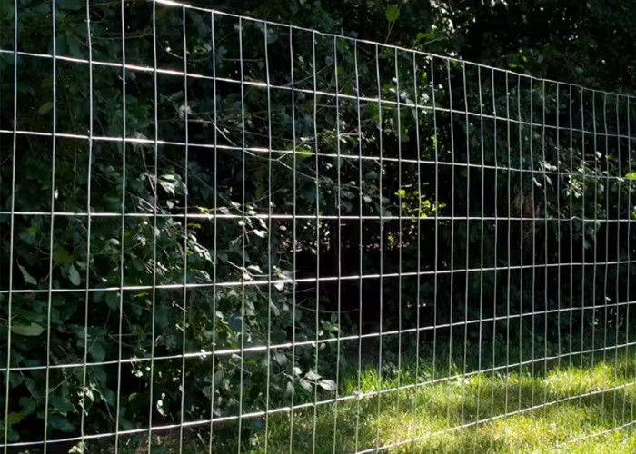 2 X 4 Galvanized Wire Mesh Heavy Duty And Durable For 1'' Mesh Size 8 Gauge Welded Wire Mesh