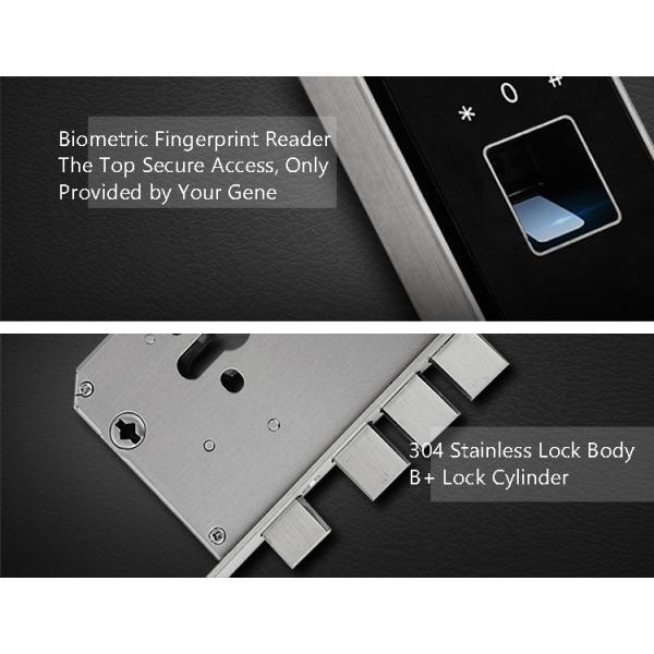 Fingerprint Intelligent Lock Keyless Front Door Combination Locks For Home Decoration