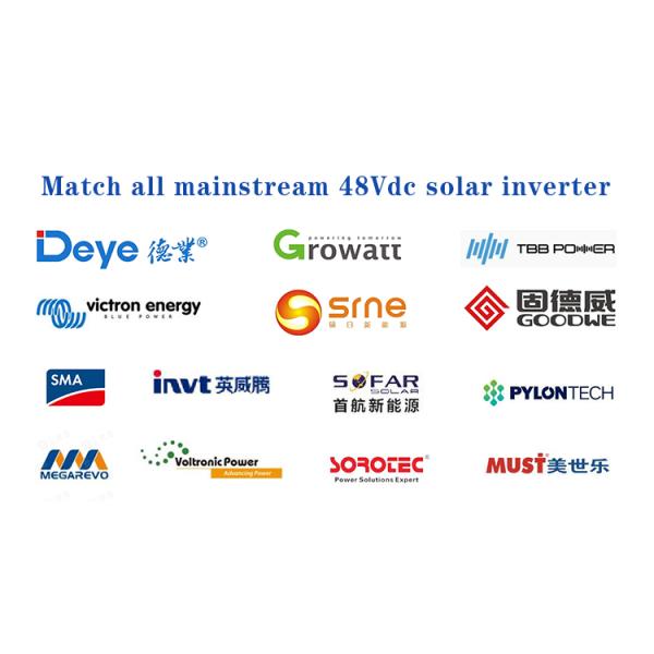 100ah 5kwh 48V Solar Battery Lithium Ion 200ah 24V Lifepo4 Battery Rack Mount