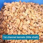 380V Dry Cracker Equipped Pecan Shelling Machine With 24000 Nuts Processing