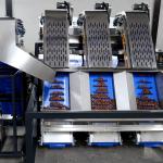 In Shell Macadamia Nuts Sorting Machine Accurate Grading Sizing Simultaneously
