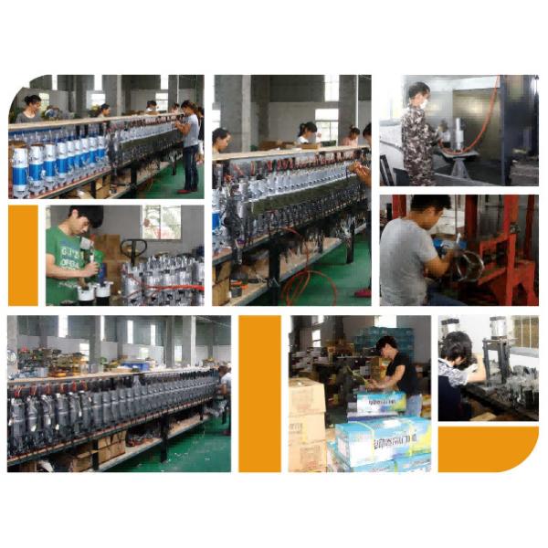 Ac 220V Single Phase 800Kg Rolling Shutter Motor With 1 Year Warranty