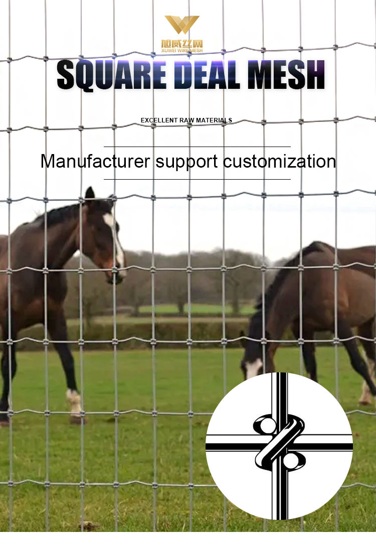 Electro Galvanized Cattle Farm Field Fence For Sheep And Goat