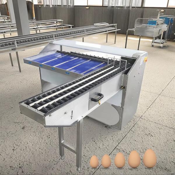 Quality Egg Sorting Machine For Hatchery Eggs Sorting Machine With Stamping Egg Grading Machine For Sale for sale