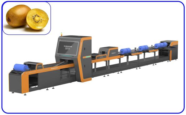 3 Channel 380V Fruit Sorting Machine Intelligent Kiwi Sorter 360° Rotation