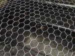 5/8" Hexagonal Wire Netting Positive Twist Reverse Twist Double Twist