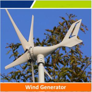 China Small power wind turbine with competitive price for hot sale, OEM & ODM is available on sale