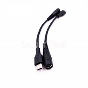China 5V USB Type C to DC 5.5x2.1mm Charger Extension Cable for LED Desk Lamp Fan on sale