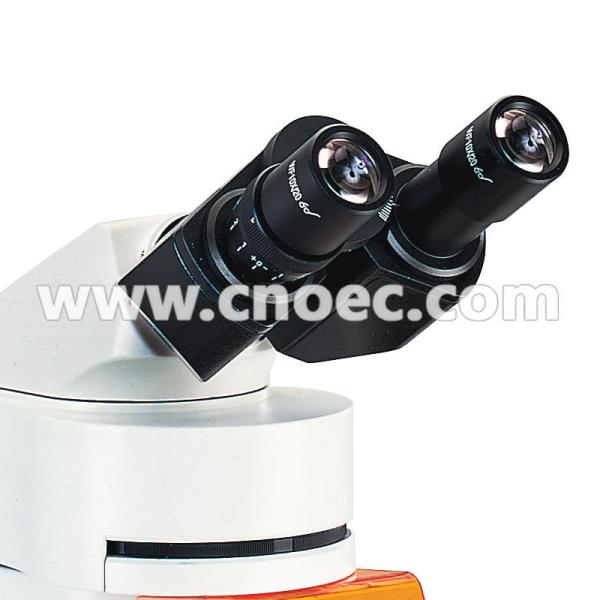 Wide Field Fluorescence Microscope