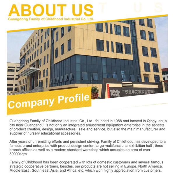 Anti - Skid Plastic Playground Slide Themed Playground Equipment