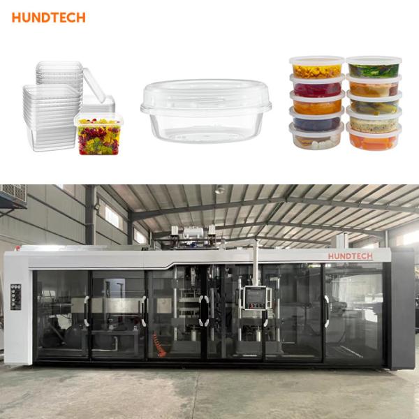 Pla Food Plastic Container Manufacturing Machine Parties Boxes Thermoforming