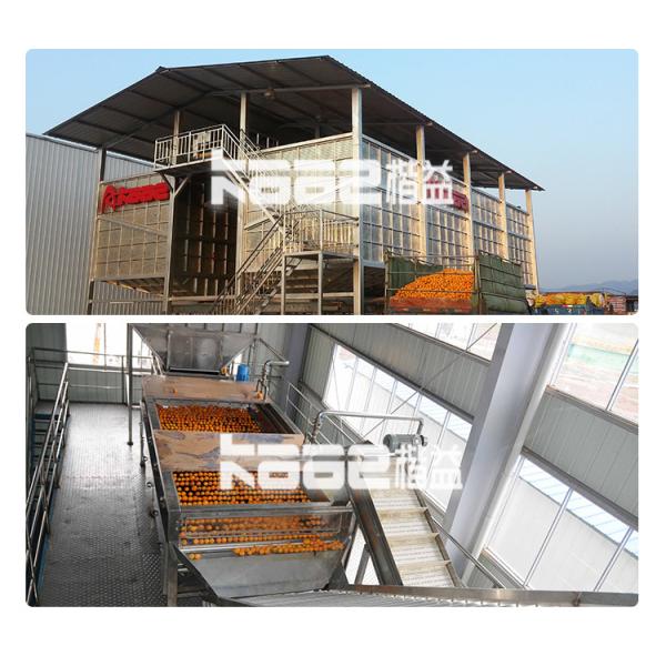 Automatic Orange Cell Making Machinery Automatic Juicer Machine